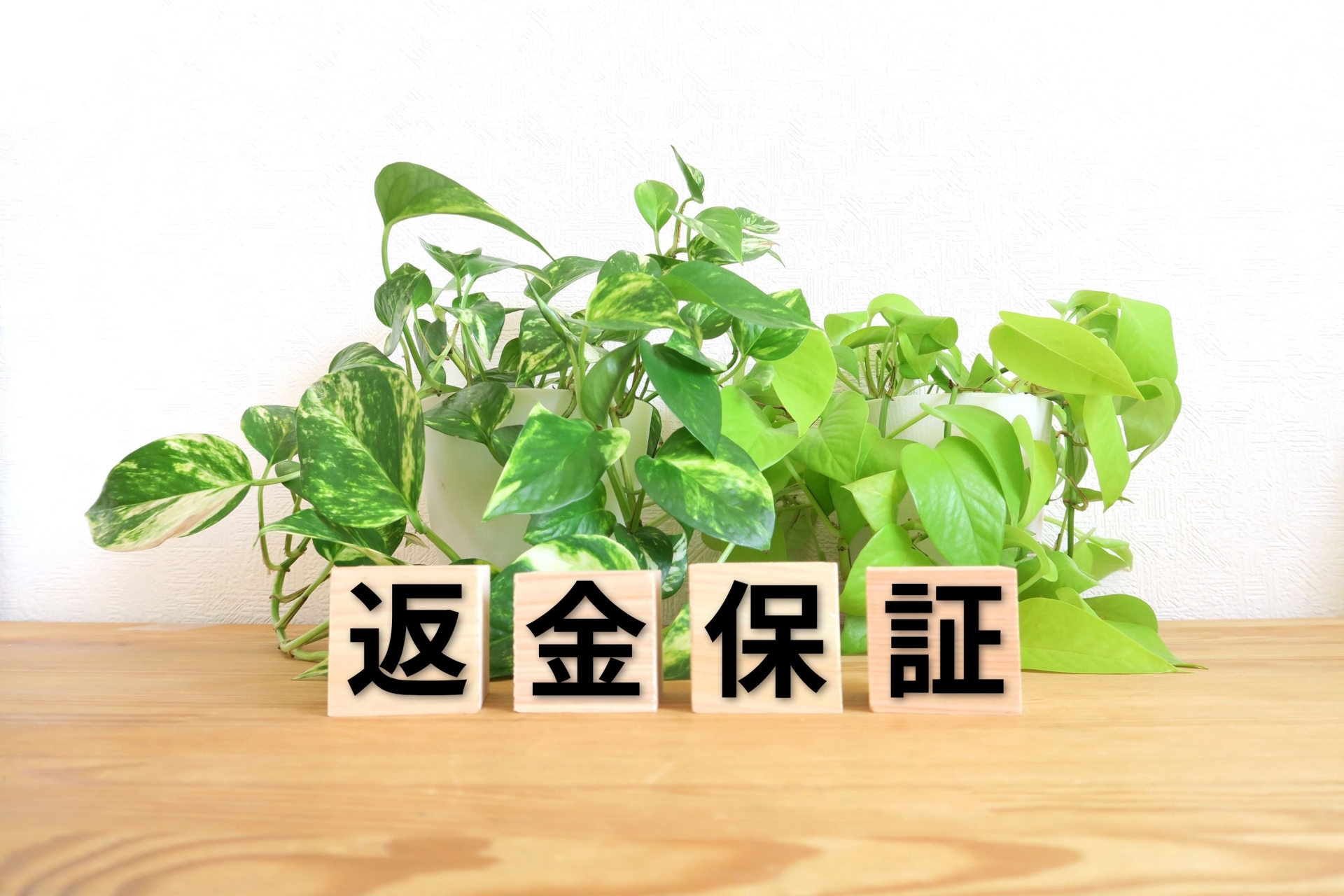 返金保証バナー